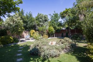 Photo 19- click for photo gallery